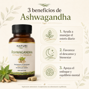Beneficios ashwaga